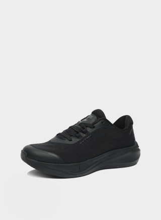 런스위프트 RUNSWIFT